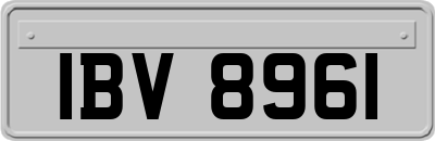 IBV8961