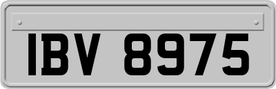 IBV8975