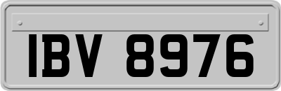 IBV8976