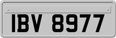 IBV8977
