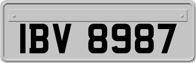 IBV8987