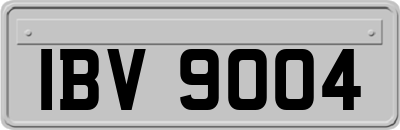 IBV9004