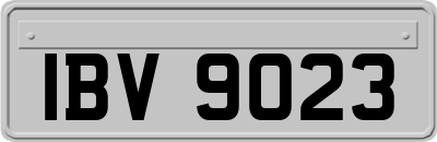 IBV9023