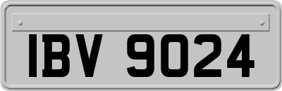 IBV9024