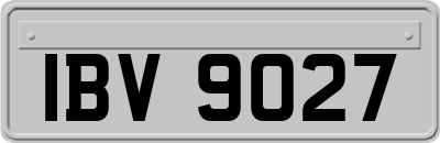 IBV9027