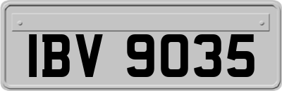 IBV9035