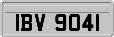 IBV9041