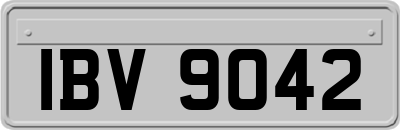 IBV9042