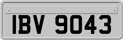 IBV9043