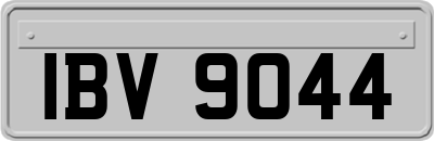 IBV9044