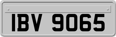 IBV9065