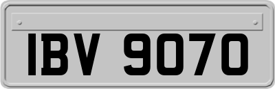 IBV9070
