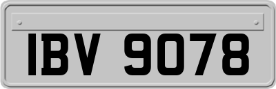 IBV9078