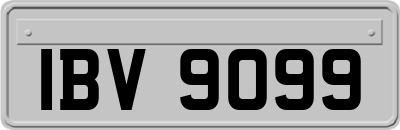 IBV9099