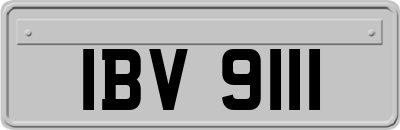 IBV9111