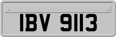 IBV9113