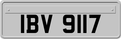 IBV9117