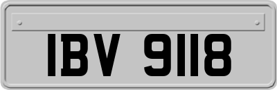IBV9118