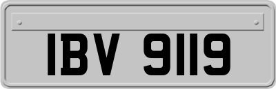IBV9119