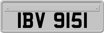 IBV9151