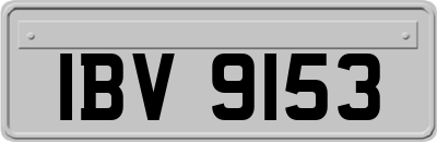 IBV9153