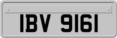 IBV9161