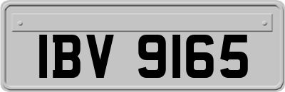 IBV9165