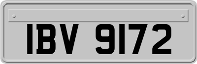 IBV9172
