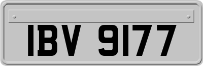 IBV9177