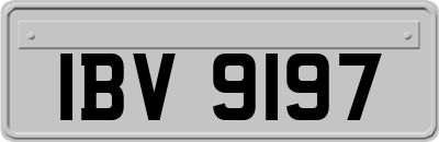IBV9197