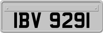 IBV9291