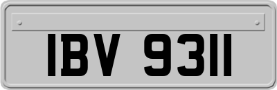 IBV9311