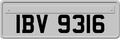 IBV9316
