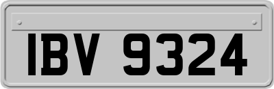 IBV9324