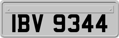 IBV9344