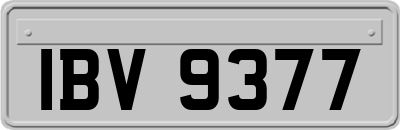 IBV9377