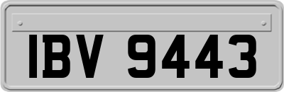 IBV9443