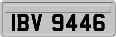 IBV9446