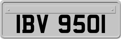 IBV9501
