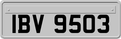 IBV9503