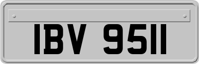 IBV9511