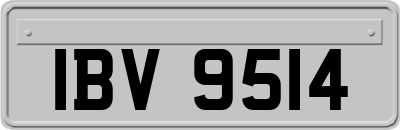 IBV9514