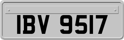 IBV9517