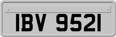 IBV9521
