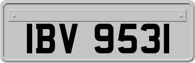 IBV9531