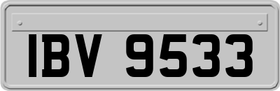 IBV9533