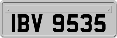 IBV9535