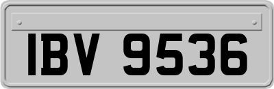 IBV9536