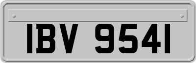 IBV9541