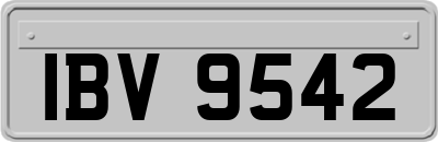IBV9542